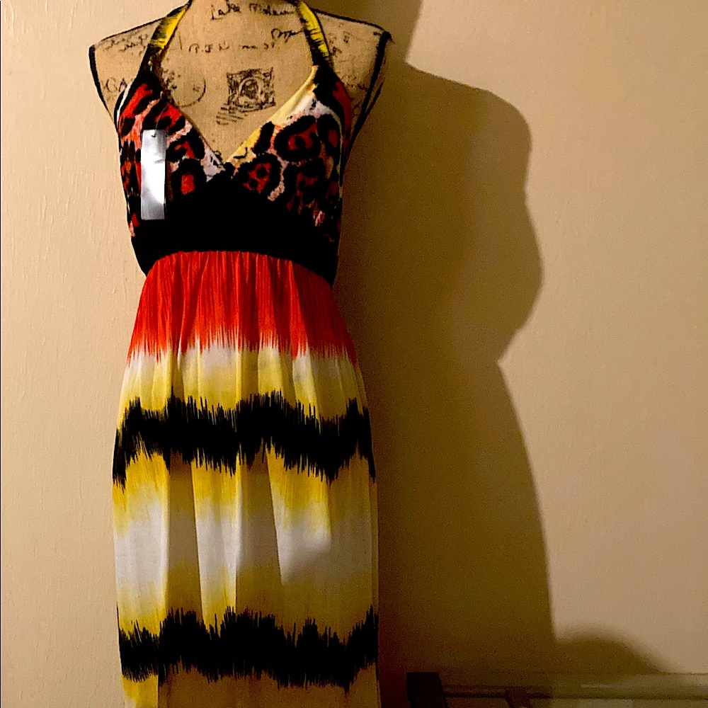 Beautiful Designer Maxi Dress New Cruise-line Collection